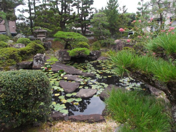 The phot shows a pond with various water plants and rocky islets, and little bonsai pine trees at the edge of the pond.  There are some pink flowers visible on the right side in the background